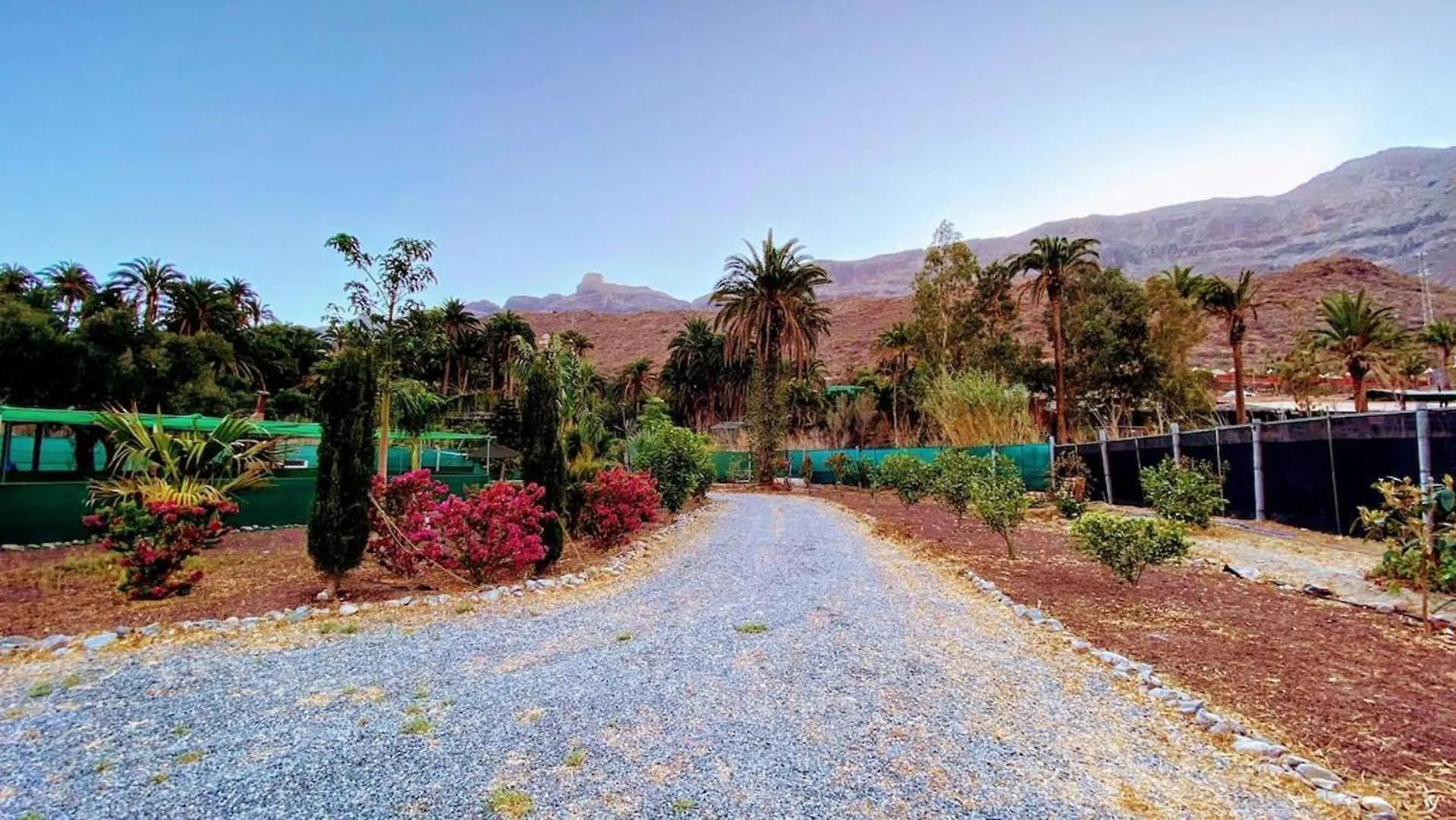 Large Country House Near Maspalomas & Fataga Artedara