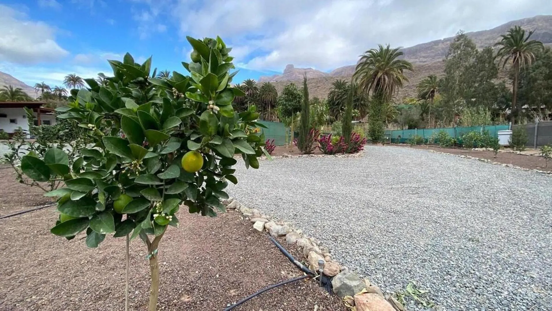 Large Country House Near Maspalomas & Fataga Artedara